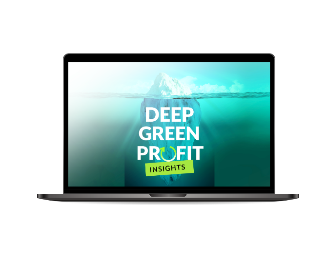 Deep Green Profit INSIGHTS